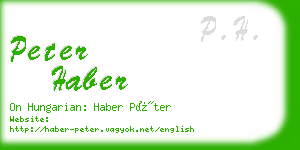 peter haber business card